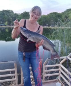 jax_bch's tweet image. Angler Report: Deadhorse Ranch State Park lagoons #ArizonaFishing ifi.sh/q1q