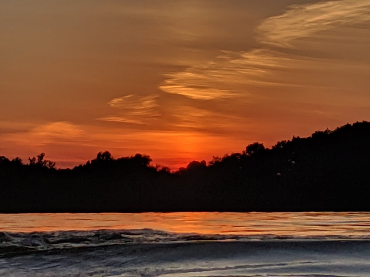 My name is Buzz tweet media