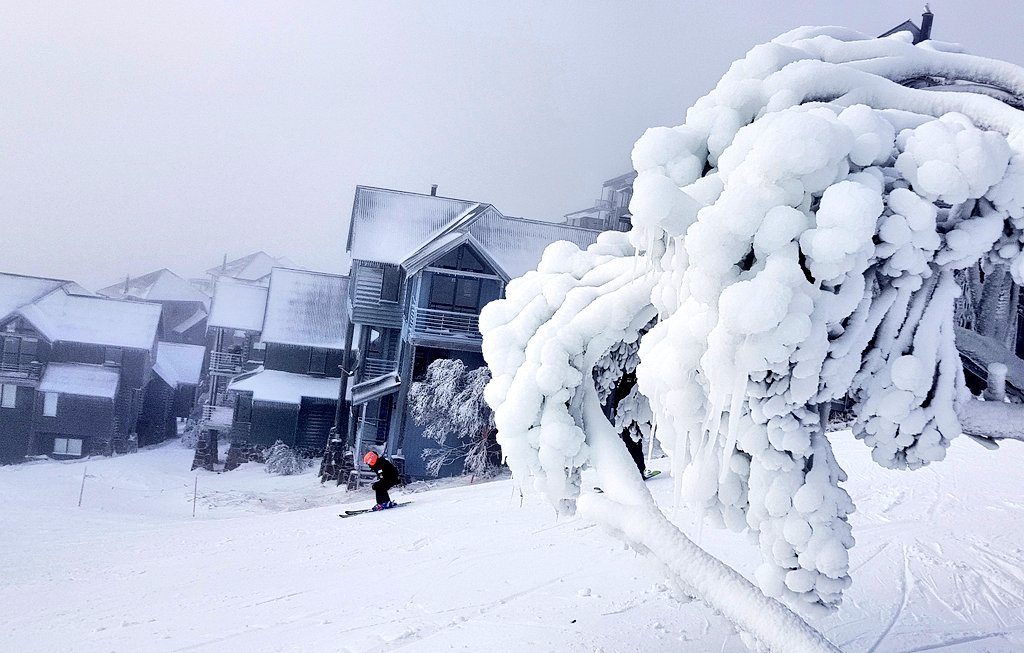 _hotham's tweet image. We're feeling the #chills of July at #Hotham today. #winter2019