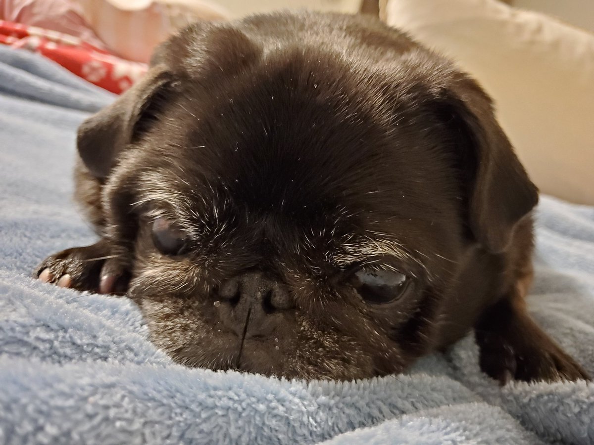NotThatMum's tweet photo. When it's been the Mondayest Monday of all Monday's... #LortHelpUsAll https://t.co/F4XDXTH1TA