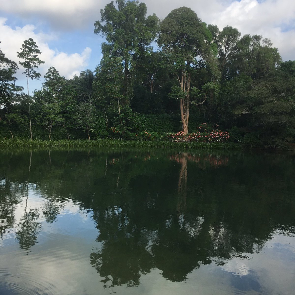 CurtisSChin's tweet image. A #CurtisChinHashtagShoutout goes out to #FOJSG! That would be #FourthofJuly Singapore 🇺🇸

It’s a particularly special #July4 as our @RedWhiteBlueDot Chargé d’Affaires @StephanieSyptak completes her tour in the 🇸🇬 Lion City. She will most definitely be missed. 

🍔🌭🍟🗽🎇🦅 #USA