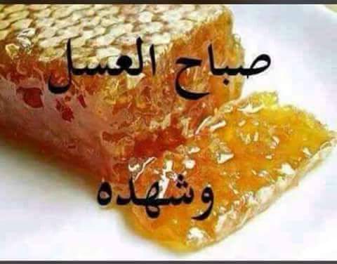 حلا (@hhala2551) on Twitter photo 