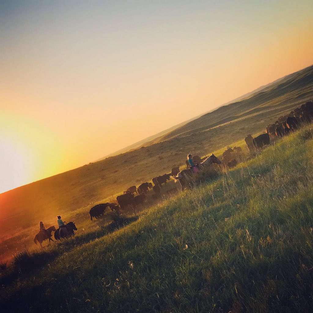 Ranch life views. #summer19 #ranchlife #beef #knowyourbeef #nebraska #cattleranch #iamyourfarmer #circlelranch