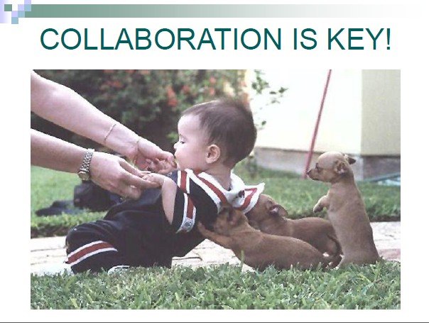 suptfinch's tweet image. Standing ovation at #WASAAWSP19 for beloved educator, Dr. Gene Sharrett, as he accepted the Golden Gavel Award for Outstanding Contribution to Public Education.  @WASA_Oly 

&quot;If you want to go fast, go alone.  If you want to go far, build a team.&quot; ⭐️