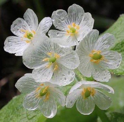 ひとみちゃん (@oons5qye7vbe8hp) on Twitter photo 