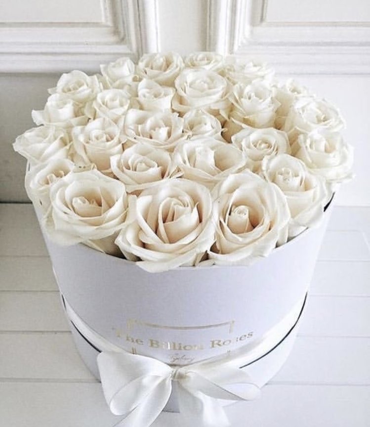 IIXL9___'s tweet photo. White🍃 https://t.co/UMWfYuyKjT