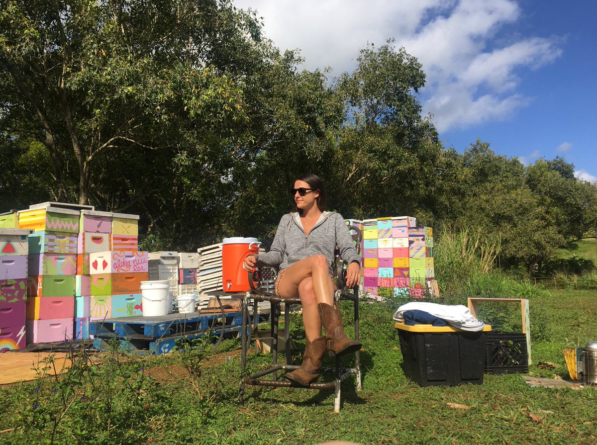 realfoodmedia's tweet photo. Read about @annalappe &family's experience meeting beekeeper Robin Fisher and her beehives on the gorgeous island of Kauai @earthislandjrnl #beeapocalypse #pesticides #Hawaii https://t.co/8pB3qykFd3 https://t.co/4tjQ25g0rx