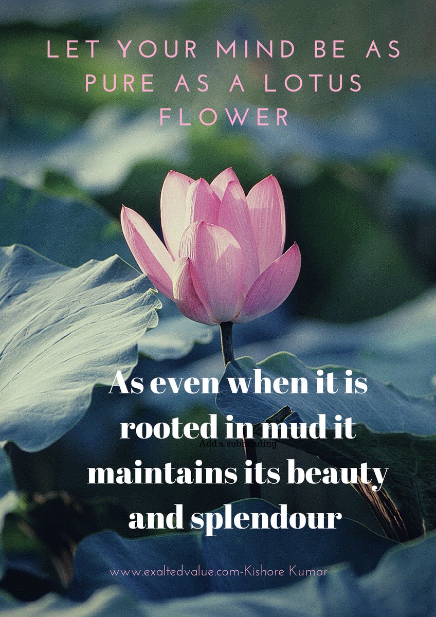 exaltedvalue's tweet image. exaltedvalue.com
#purityofmind
#abilitytokeepcalm
#beautiful