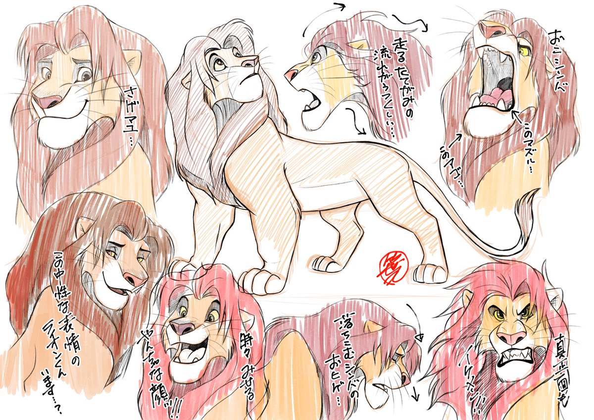 しばライオン 81paf0rWIfL._AC_UF894,