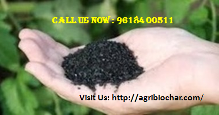 AgribioC's tweet photo. #Biochar is widely used to improve soil quality and increase crop productivity. So, use the #biochar_agriculture product which is manufactured by Prime Specialities. To talk with us about #biochar_products, call at 96184 00511 or visit our website: https://t.co/S0JCCYauda https://t.co/T5JWzc3jcp