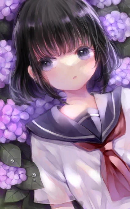 紫陽花 