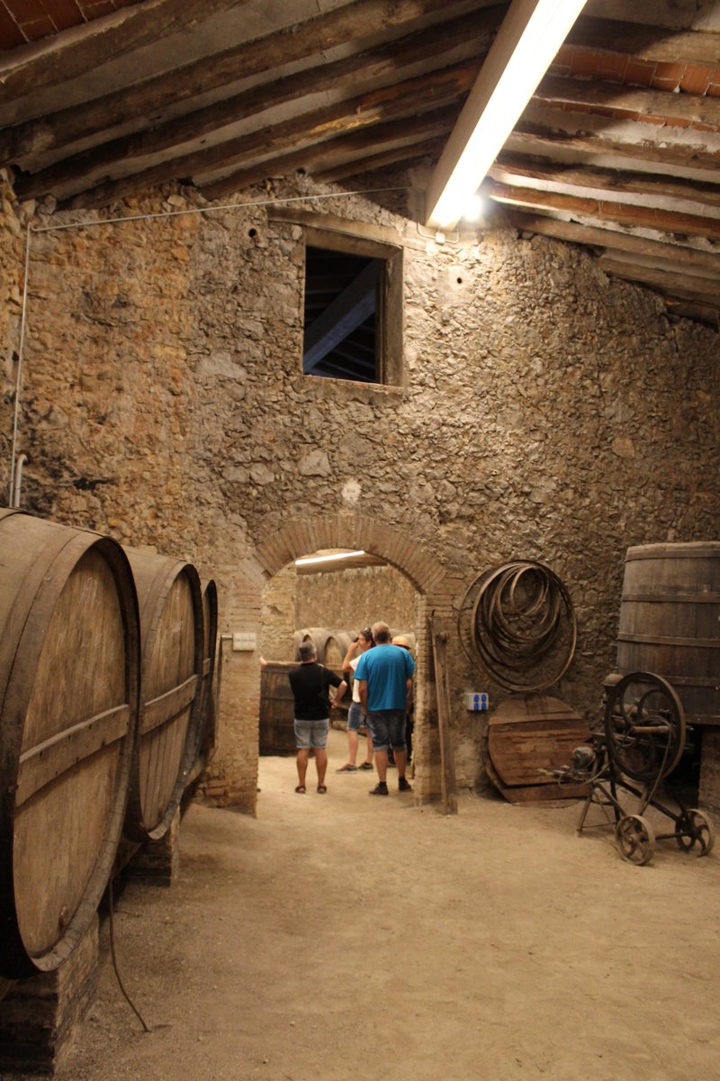 Aquest dissabte passat vam gaudir d'una estona molt agradable i divertida amb un grupet de gent molt maca!

Esperem que torneu aviat!!! 🍾🍷😍

Us deixem un recull de fotografies 📸

#enoturisme #enopenedes #penedeslovers #penedes500 #zona500 #ConAltura