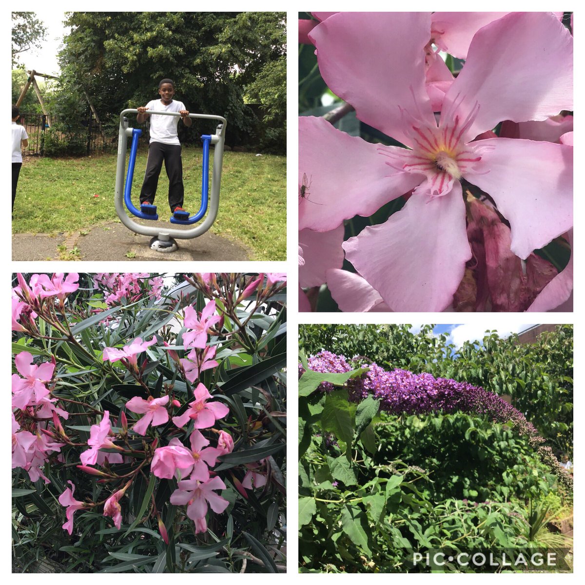 LarkHallPrimary's tweet photo. Amazing photography skills from Wandsworth class! We were looking at lighting, angles and focus 📸

#lhwandsworth #lhyear5 #lhcomputing #lhua #lhphotography https://t.co/DGheZcnmPy