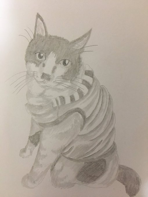 ボランティアのtwitterイラスト検索結果 古い順