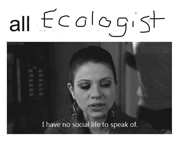 ecologistprobs's tweet photo. https://t.co/qcaLd2B91B