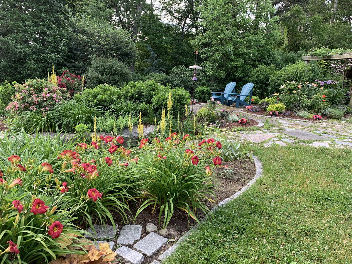 thegardenlady's tweet photo. Summer morning on Cape Cod. Love gardens? Come to the #CapeCodHydrangeaFest - a celebration of summer gardens. @CapeCodChamber https://t.co/t43Htt3eTi