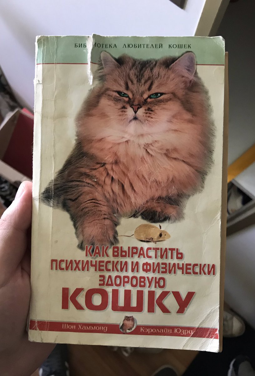 zvezdnyjpony's tweet photo. Твое лицо, когда тебя пытаются вырастить психологически и физически здоровой кошкой https://t.co/cJz3GVefrI