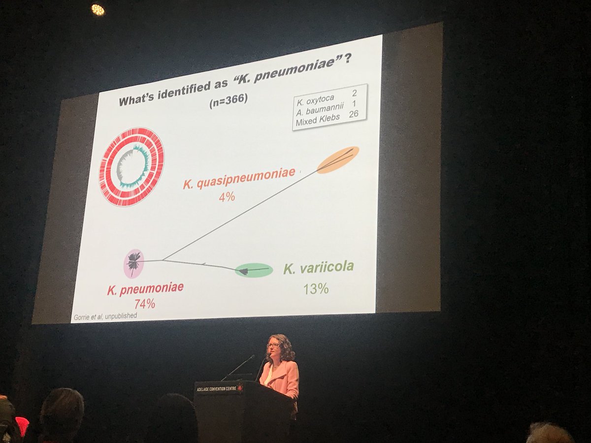 HZowawi's tweet image. Notes I’ve learned from @DrKatHolt talk #2019ASM @AUSSOCMIC :
- Different than E. coli, colonizing K. pneumoniae r more likely 2 develop infections
- MALDI-TOF can misidentify Kp.
- AMR Kp are more likely to occur as #HAIs, while hypervirulent strains r more from outside of hosps