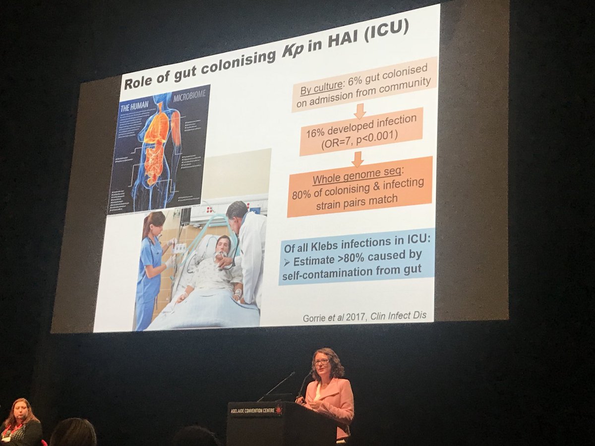 HZowawi's tweet image. Notes I’ve learned from @DrKatHolt talk #2019ASM @AUSSOCMIC :
- Different than E. coli, colonizing K. pneumoniae r more likely 2 develop infections
- MALDI-TOF can misidentify Kp.
- AMR Kp are more likely to occur as #HAIs, while hypervirulent strains r more from outside of hosps