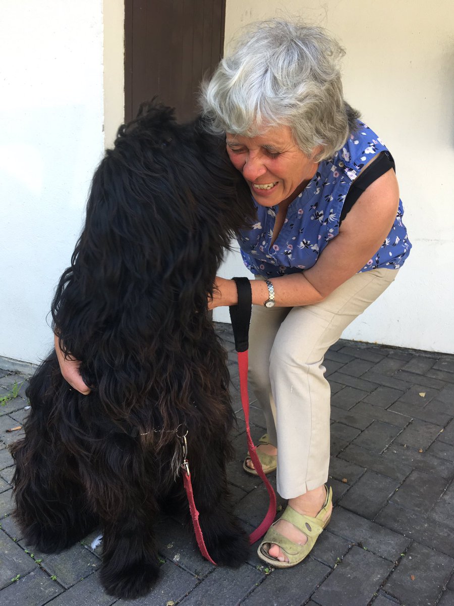BBCCornwall's tweet photo. More that 65,000 of you got involved with the first day of #PetsMonth - thank you for all the lovely photos of your #rescue furry friends 

Jo from Millbrook adores her Briard Django #MeAndMyPet .. hear their story 0830 https://t.co/FUrWU1xt4k