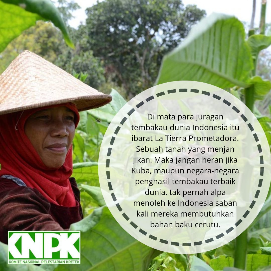 abd_karem26's tweet photo. liat senyum petani tembakau itu menyejukkan
#KemenkominfoBelaSiapa https://t.co/Ftk6jiPngH