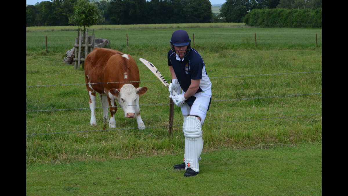 Baggy Blue tweet media