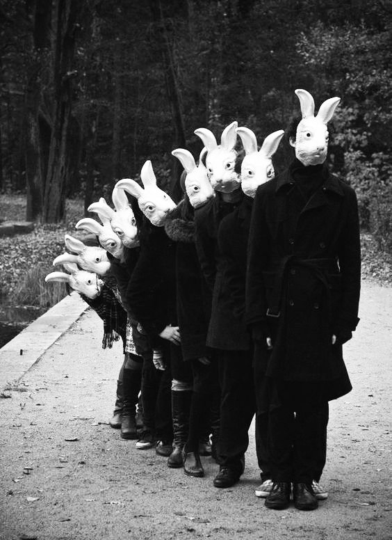 Watch out for the Gang of Rabbits :-))