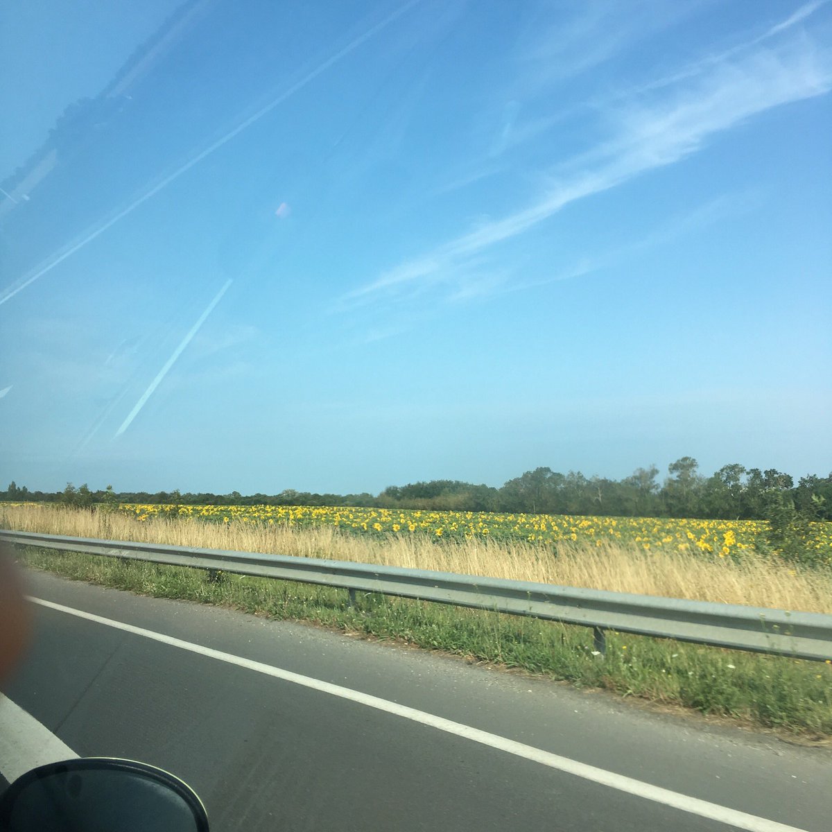 LaurentLamarca's tweet photo. Départ pour Avignon et son festival off!

Hâte de retrouver toute l’équipe!

J’y suis du 5 au 28 juillet! Je joue tous les jours sauf les mercredis à 21h au Théâtre L'arrache-Coeur

La billetterie est là : https://t.co/OM6hXHw4un

#OYC2019
#TalentsAdami https://t.co/IQhlcVEWjd