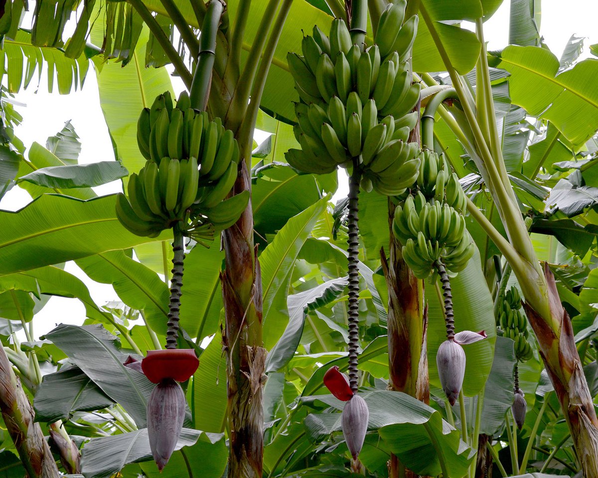 Christophe Jenny tweet media