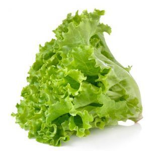 gourmet_d's tweet photo. Exotic Vegetable Special https://t.co/GwGyoxaqj0 https://t.co/Hp3rSCp97O
