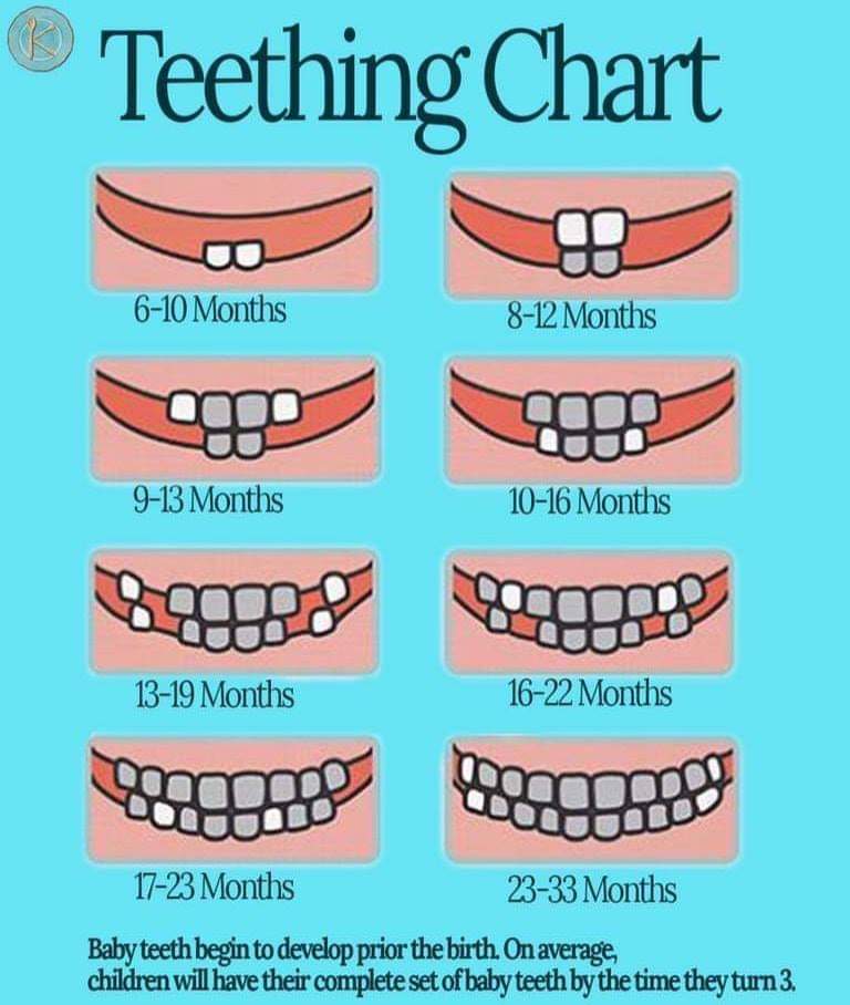wonderparenting's tweet image. #DIDYOUKNOW #TeethingChart