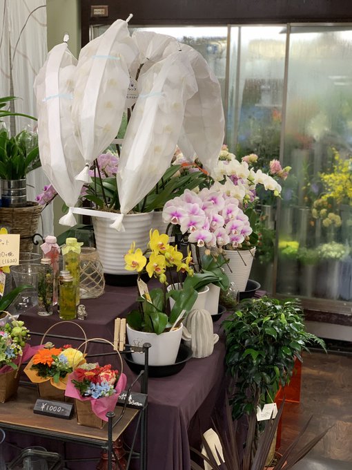 千歳烏山駅周辺でおすすめの花屋 フラワーショップ 厳選７店 くらし向上委員会