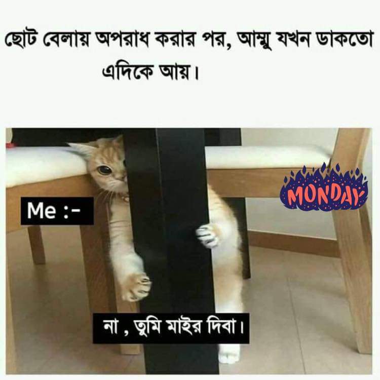 🇧🇩🇵🇭🇸🇦 Rj ABIR 🇧🇩🇧🇩🇧🇩 tweet media