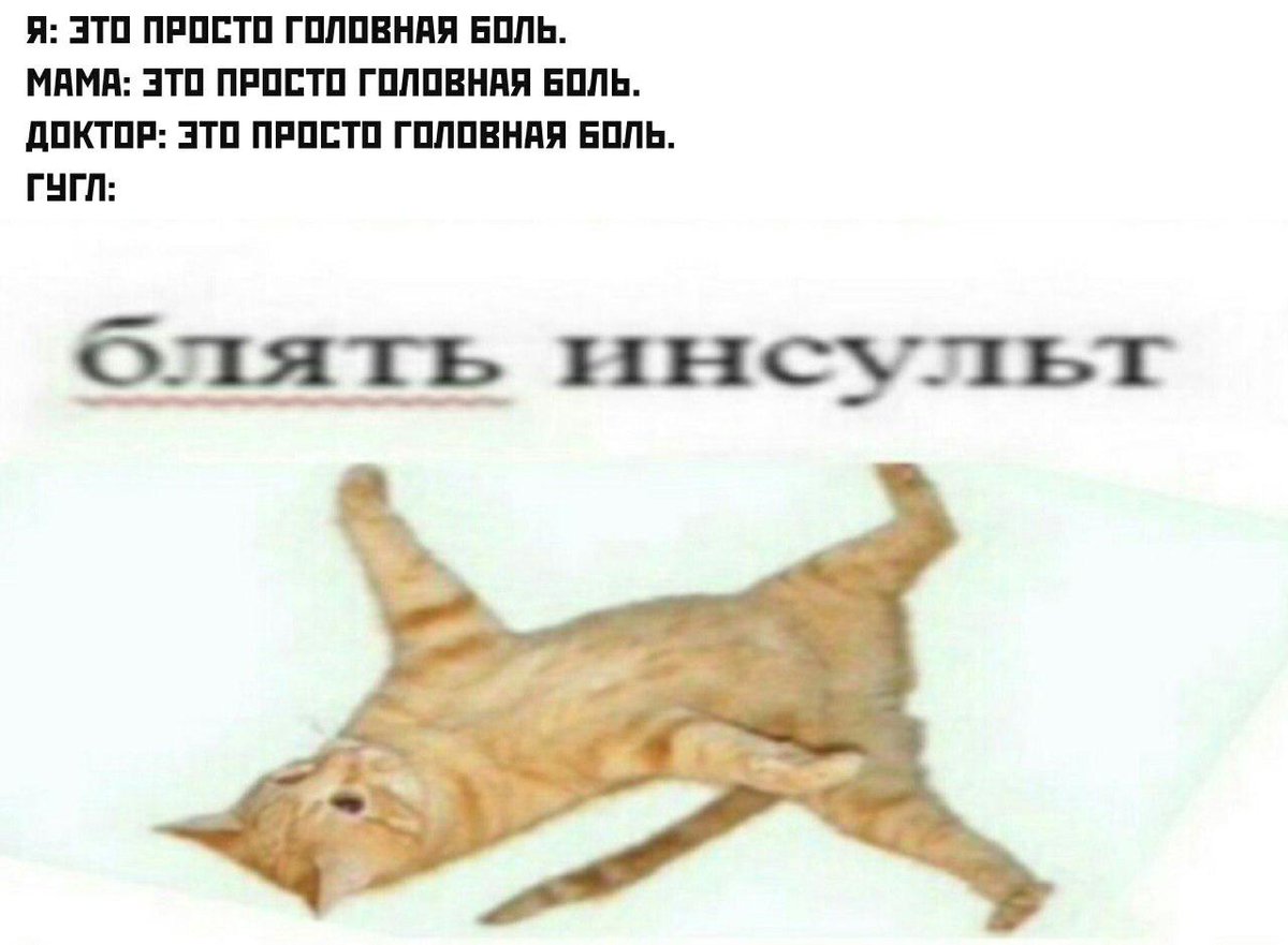 RussianMemesLtd's tweet photo. Me: it's just a headache
mom: it's just a headache
doctor: it's just a headache

Google:

fuck it's stroke https://t.co/jFgRylA1w5
