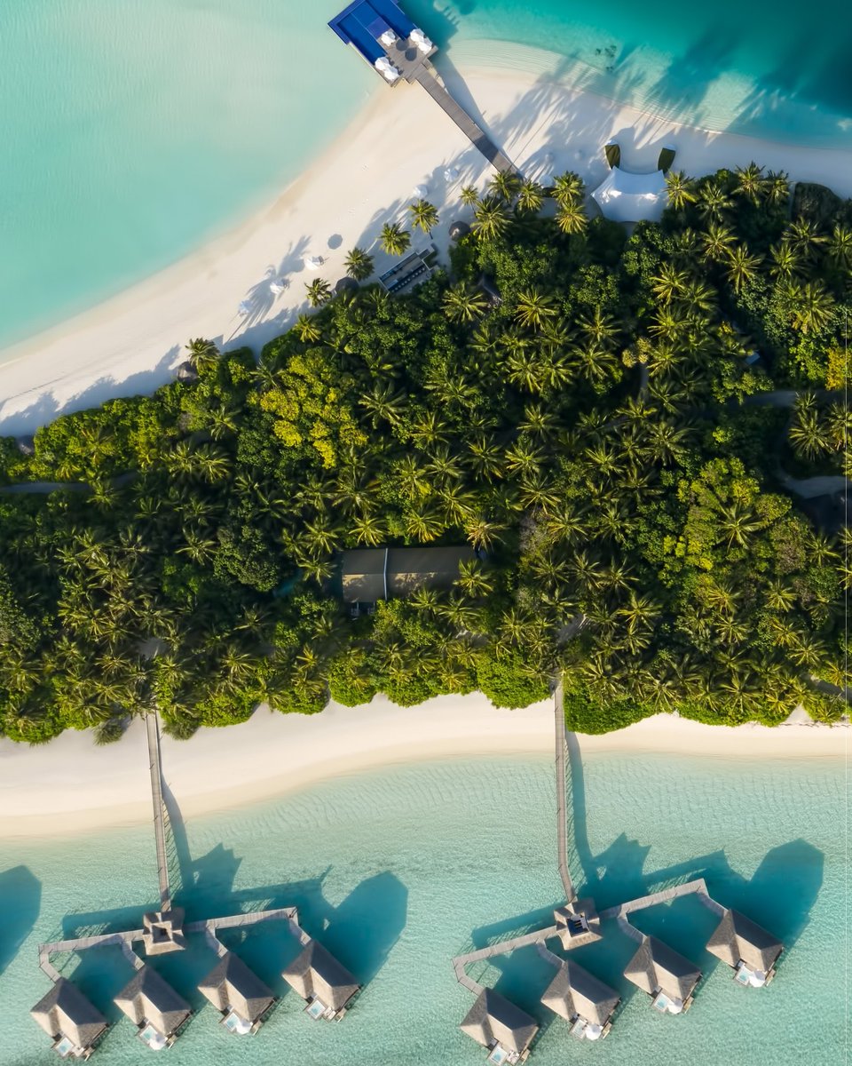 Disc_Maldives's tweet photo. Shades of the Maldives = Shades of Summer
#conradmaldives #Rangali #island #maldives #travel #forbestravelguide
📸: @justinnicholasphotography https://t.co/M4GGXD1yFs