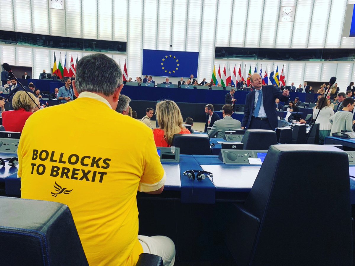 Here’s my new view in the plenary of the European Parliament! 🙂 #BollockstoBrexit #IamEuropean