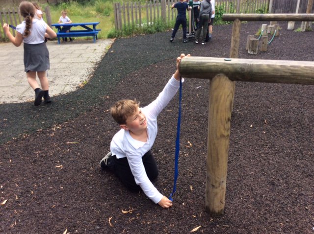 Launcelot Primary tweet media