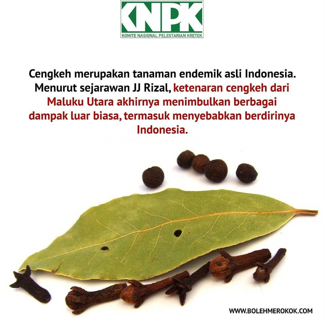 sagitacah's tweet photo. ternyata sejarah berdirinya indonesia ada unsur dari kretek. memblokir rokok sama saja mencoba menghapus sejarah.
#KemenkominfoBelaSiapa https://t.co/faIcBH20UK