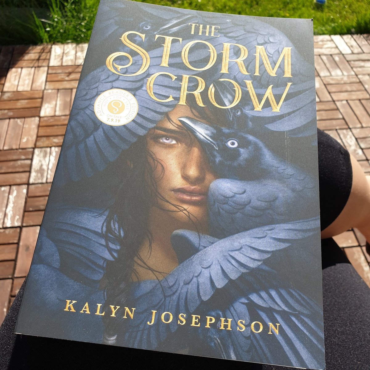 WayfaringBiblio's tweet photo. Starting the day off right this beautiful morning! #thestormcrow #reading #illumicrate #sourcebooksfire #arc #sunnyireland https://t.co/vuw7JWTXu4