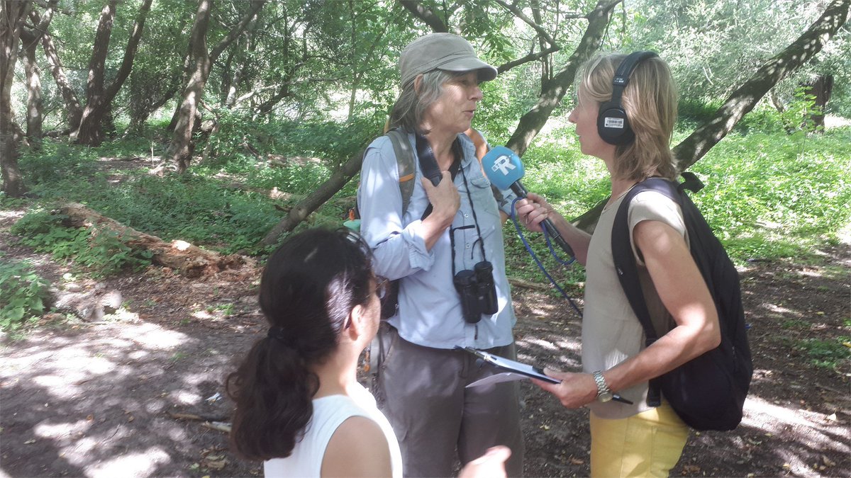 Gisteren was Marion van <a href="/RTV_Rijnmond/">Rijnmond</a>  te gast op het Eiland van Brienenoord en sprak daar onder andere met Elma van <a href="/ARKNatuur/">ARK Rewilding Nederland naar Bluesky</a>, Chantal van <a href="/RWS_WNZ/">Rijkswaterstaat regio Zuid-Holland</a> en Laurence van <a href="/rotterdam/">Gemeente Rotterdam</a> over wat het eiland te bieden heeft, nu én in de toekomst.
