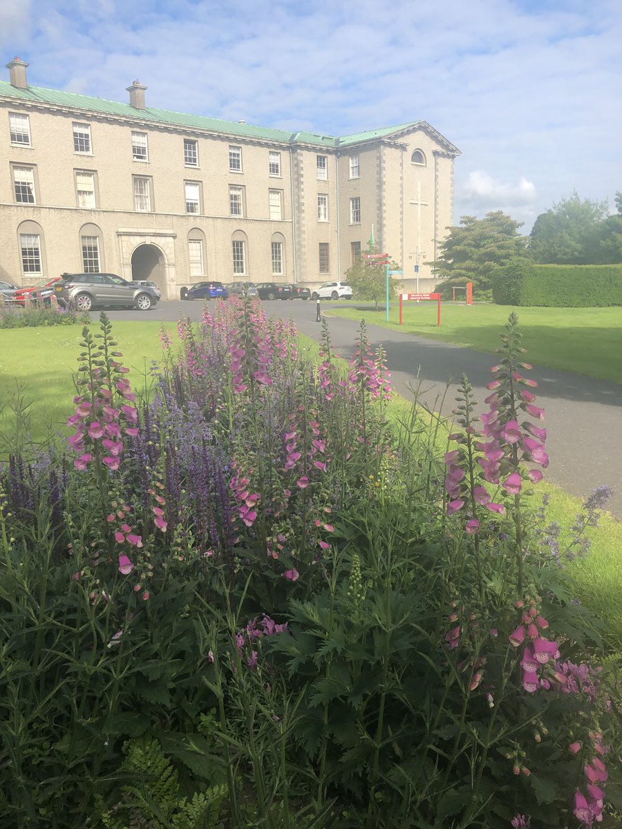 MaynoothCampus's tweet image. A lovely Tuesday morning here at Maynooth Campus.