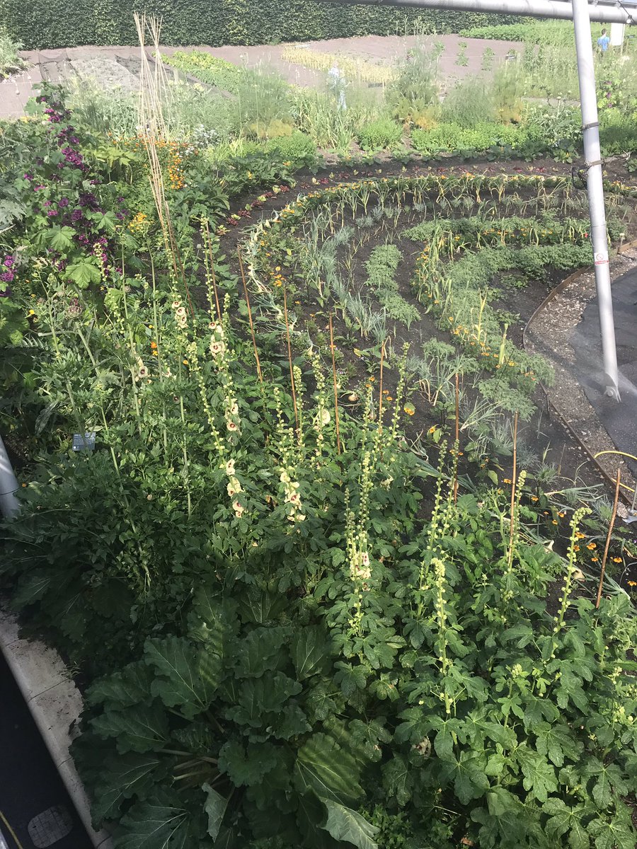 MS_gardens's tweet photo. Some members of our team spent the weekend in Cornwall visiting @edenproject and also @HeliganGardens. Both outstanding places with lots to see and plenty of ideas were brought home. https://t.co/YiTIXLDwuf