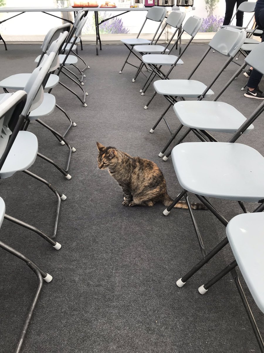 Någon hade insett att det skulle bli fullsatt på S:t Lukas seminarium om ungas psykiska hälsa. Tack till den fyrbenta och de 80 tvåbenta som kom och bidrog. #Almedalen19