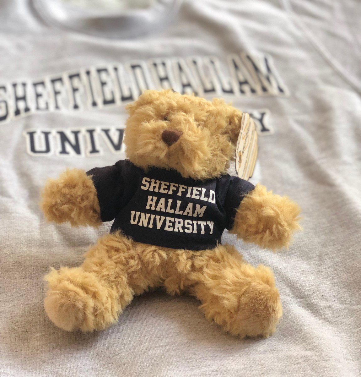 HideoutSheff's tweet photo. THE STALL🛍️ 
Just finished your time at SHU? Why not get yourself a Hallam mascot to take with you on your next adventure #TheStall #TeamHallam #SHU. Order online and bag yourself free delivery!! https://t.co/3tviLlUiSb
