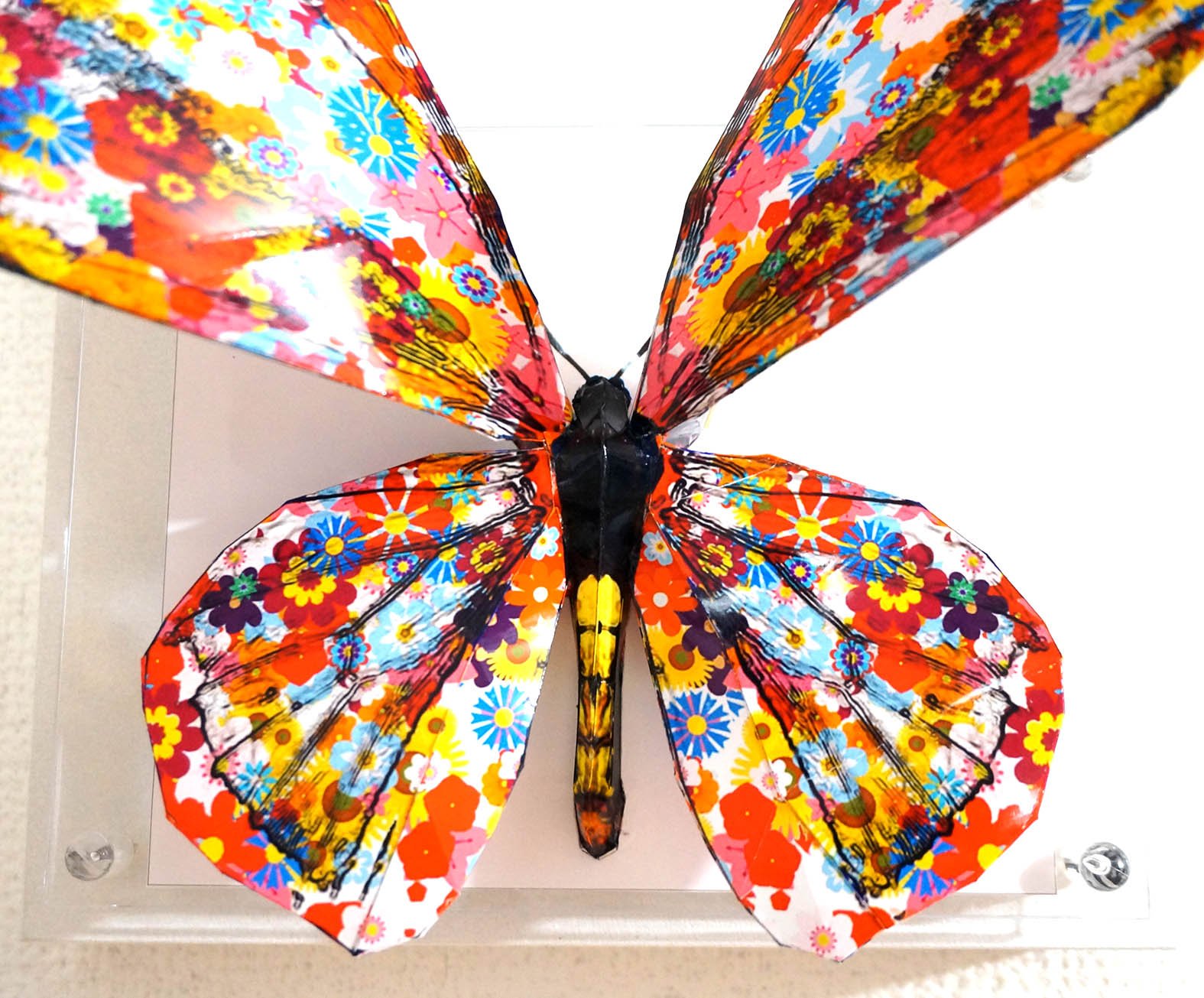 Bulletin of the Toyosato Museum of Entomology