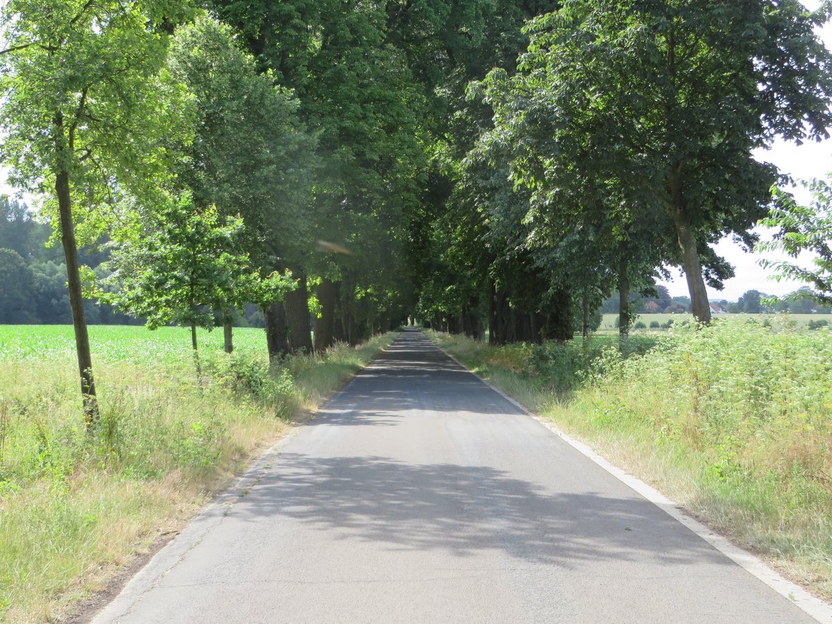 RaheAndreas's tweet photo. Kann eine Straße ein Naturdenkmal sein?
Ja!
Diese bestimmt! Die #UlenburgerAllee in #Löhne #OWL.
Sehenswert! https://t.co/QYSwt6KgMk
Auf 2700 Metern #Fledermäuse, #Waldohreule, #Waldkauz und #Trauerschnäpper, #Eichen, #Kastanien, #Linden, einzelne #Eschen und #Robinien. https://t.co/knZWAc2UQL