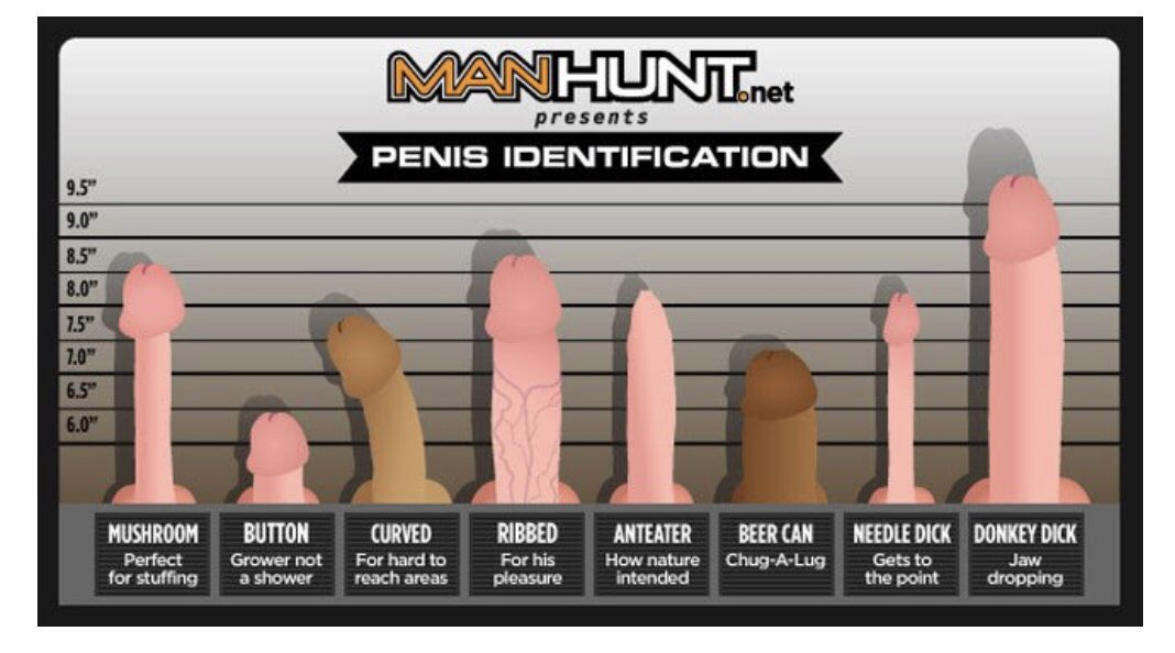 Penis size may be driven by women