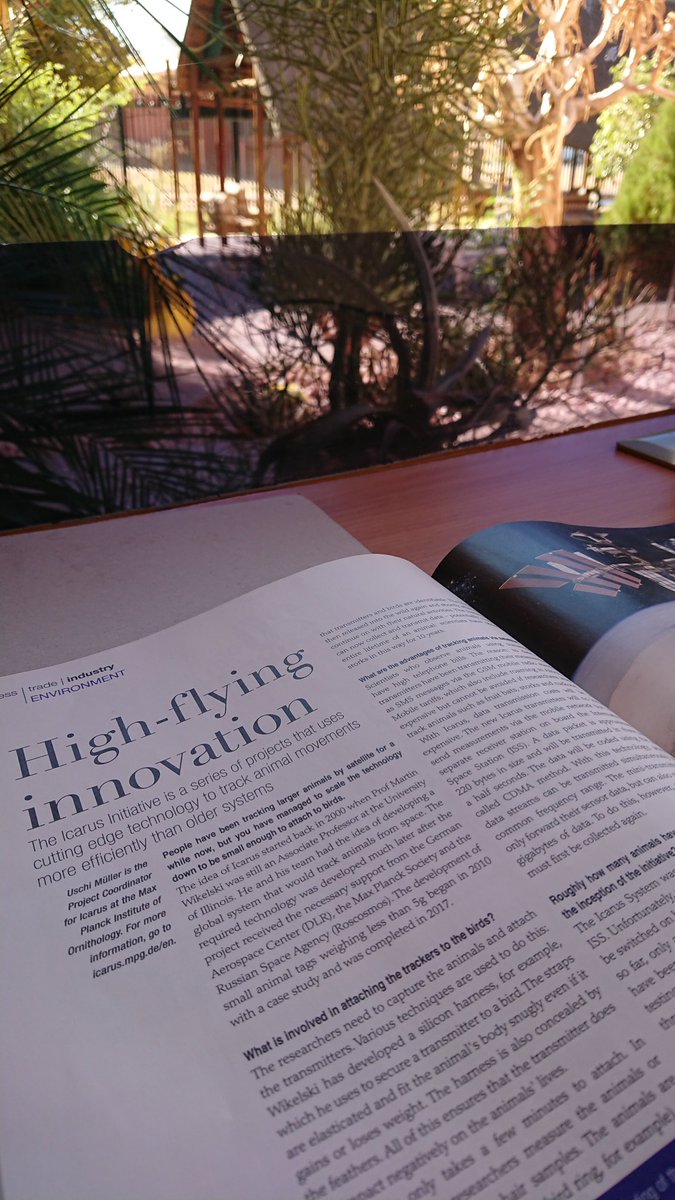 Ariana Strandburg-Peshkin (@arispeshkin) on Twitter photo Just hanging out in Upington airport on the way back from the Kalahari, open up a random airline magazine lying around and it's a feature article on #ICARUSinitiative! It really is global! <a href="/animaltracking/">Migration Dept., Max Planck Inst. Animal Behavior</a> Just hanging out in Upington airport on the way back from the Kalahari, open up a random airline magazine lying around and it's a feature article on #ICARUSinitiative! It really is global! <a href="/animaltracking/">Migration Dept., Max Planck Inst. Animal Behavior</a>