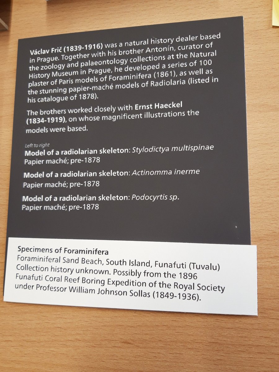 mark_carnall's tweet photo. A frequently forgotten role of museums is to chronicle history as it's made as well as the older stuff and now's the best time as all the information is to hand! #MuseumDocumentation https://t.co/g0Et6OMZRH