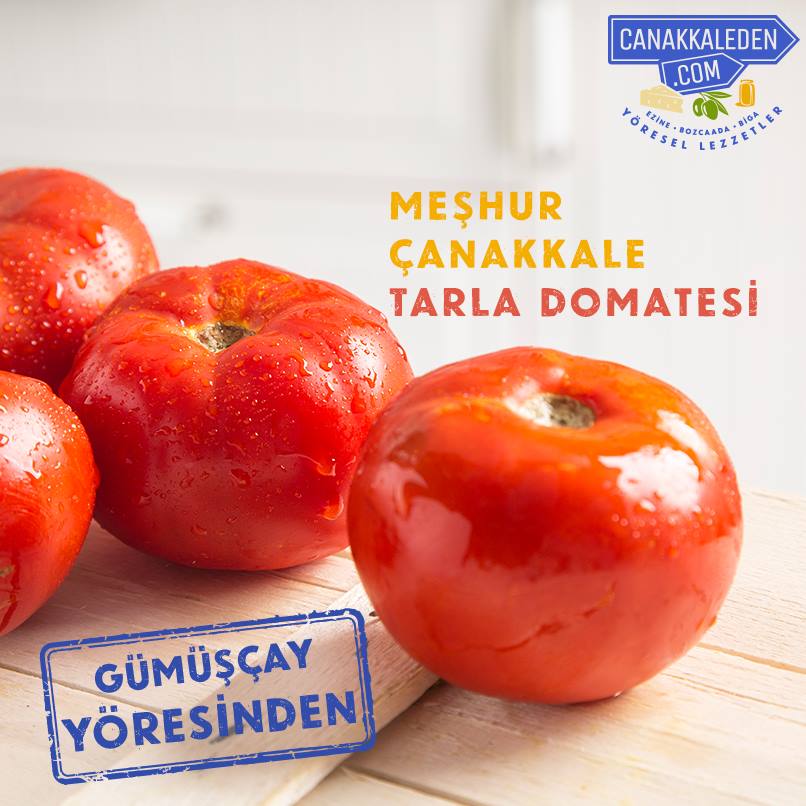 Çanakkalemizin Gümüşçay beldesinde yetişen, tarla domatesimiz, sulu, hafif sert ve mis kokuludur. Şimdi sipariş ver. 👉 canakkaleden.com